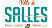 Ville de Salles